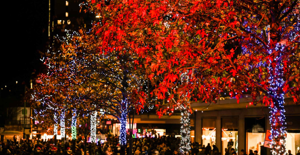 A photograph of the Christmas lights in Plymouth City Centre